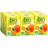 Nature Bio Jus d'orange BIO 6 x 20 cl (pack de 6)