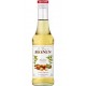 MONIN NOISETTE EXPERIENCE 33CL