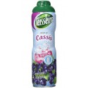 Teisseire Sirop Cassis 60cl (lot de 3 bouteilles)