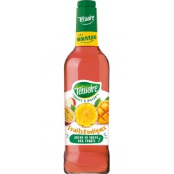 Teisseire Boisson à diluer Exotique 48cl
