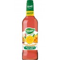 Teisseire Boisson à diluer Exotique 48cl