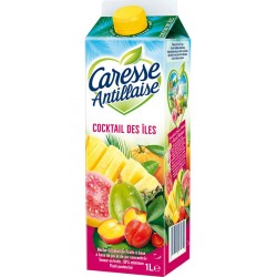 Jus de fruit Caresse Antillaise Cocktail des îles 1L